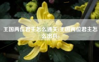 王国两位君主怎么通关(王国两位君主怎么出兵)