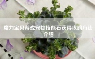 魔力宝贝游戏宠物技能石获得攻略方法介绍