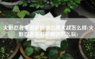 火影忍者手游萨姆依忍界大战怎么样(火影忍者手游萨姆伊怎么玩)