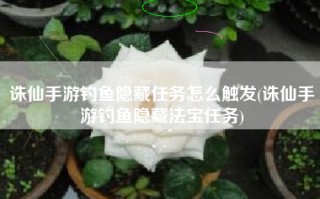 诛仙手游钓鱼隐藏任务怎么触发(诛仙手游钓鱼隐藏法宝任务)