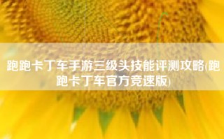 跑跑卡丁车手游三级头技能评测攻略(跑跑卡丁车官方竞速版)