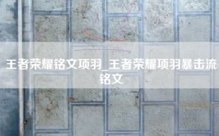 王者荣耀铭文项羽_王者荣耀项羽暴击流铭文