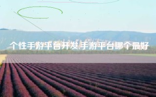 个性手游平台开发,手游平台哪个最好