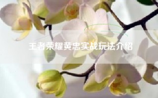 王者荣耀黄忠实战玩法介绍