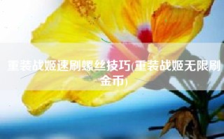 重装战姬速刷螺丝技巧(重装战姬无限刷金币)