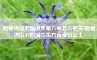 魔镜物语沉睡诅咒第六章怎么通关(魔镜物语沉睡诅咒第六章爱拉公主)