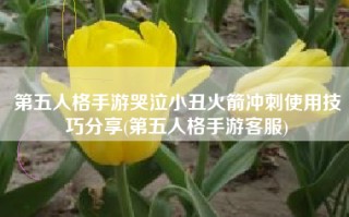 第五人格手游哭泣小丑火箭冲刺使用技巧分享(第五人格手游客服)