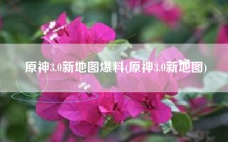 原神3.0新地图爆料(原神3.0新地图)