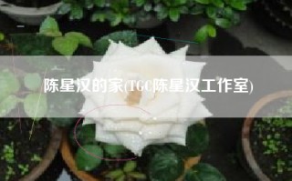 陈星汉的家(TGC陈星汉工作室)