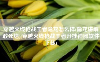 穿越火线枪战王者隐龙怎么样(隐龙讲解敢死炮)(穿越火线枪战王者开挂神器软件下载)
