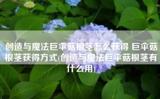 创造与魔法巨伞菇根茎怎么获得 巨伞菇根茎获得方式(创造与魔法巨伞菇根茎有什么用)