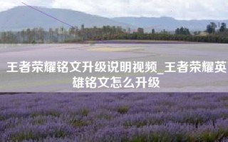 王者荣耀铭文升级说明视频_王者荣耀英雄铭文怎么升级