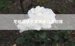 龙枪英雄小美突破几次划算