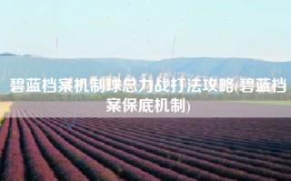 碧蓝档案机制球总力战打法攻略(碧蓝档案保底机制)