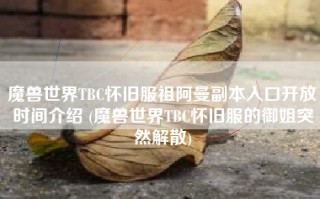 魔兽世界TBC怀旧服祖阿曼副本入口开放时间介绍 (魔兽世界TBC怀旧服的御姐突然解散)