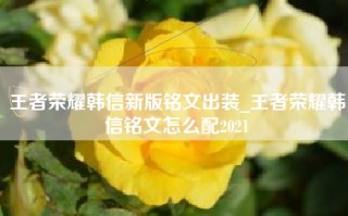 王者荣耀韩信新版铭文出装_王者荣耀韩信铭文怎么配2021