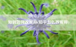 知到如何改昵称(知乎怎么改昵称)