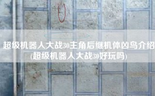 超级机器人大战30主角后继机体凶鸟介绍(超级机器人大战30好玩吗)