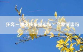 狂奔三国皮肤东吴军神·吕蒙厉害吗