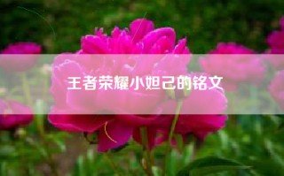 王者荣耀小妲己的铭文
