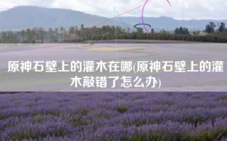 原神石壁上的灌木在哪(原神石壁上的灌木敲错了怎么办)