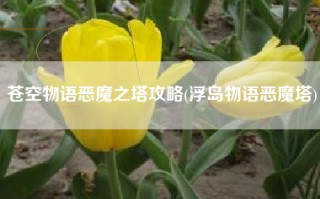 苍空物语恶魔之塔攻略(浮岛物语恶魔塔)