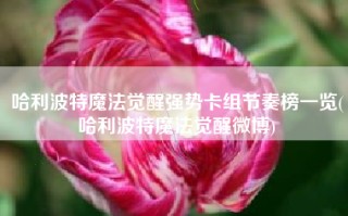 哈利波特魔法觉醒强势卡组节奏榜一览(哈利波特魔法觉醒微博)