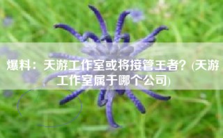 爆料：天游工作室或将接管王者？(天游工作室属于哪个公司)