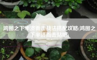 鸿图之下半济而击战法搭配攻略(鸿图之下半济而击贴吧)