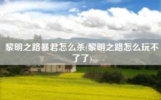 黎明之路暴君怎么杀(黎明之路怎么玩不了了)
