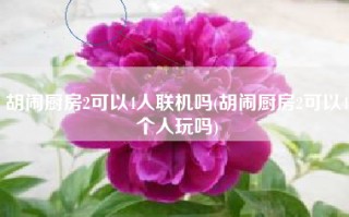 胡闹厨房2可以4人联机吗(胡闹厨房2可以4个人玩吗)