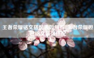 王者荣耀铭文搭配表如何看_王者荣耀妲己铭文最强搭配