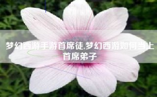 梦幻西游手游首席徒,梦幻西游如何当上首席弟子