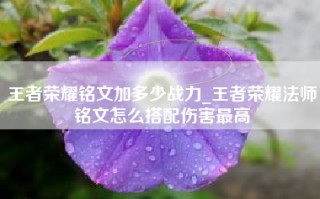 王者荣耀铭文加多少战力_王者荣耀法师铭文怎么搭配伤害最高