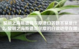 黎明之海斯德哥尔摩港口答题答案是什么(黎明之海斯德哥尔摩的白银铠甲在哪)