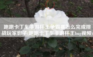 跑跑卡丁车手游杯王争霸赛怎么完成挑战玩家影子(跑跑卡丁车手游杯王bug视频)