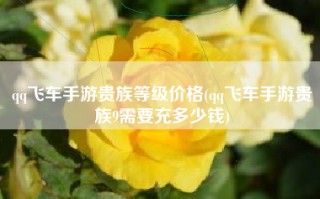 qq飞车手游贵族等级价格(qq飞车手游贵族9需要充多少钱)