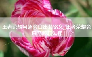 王者荣耀马超旁白出装铭文_王者荣耀旁白马超怎么样