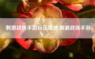刺激战场手游玩法描述,刺激战场手游