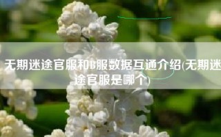 无期迷途官服和B服数据互通介绍(无期迷途官服是哪个)