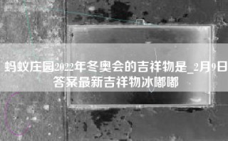 蚂蚁庄园2022年冬奥会的吉祥物是_2月9日答案最新吉祥物冰嘟嘟