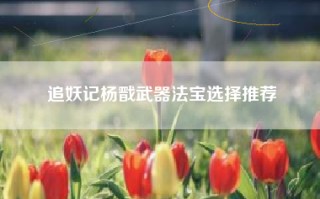 追妖记杨戬武器法宝选择推荐