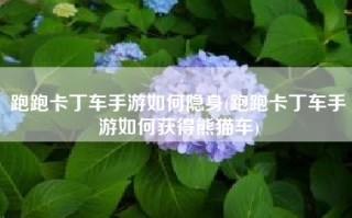 跑跑卡丁车手游如何隐身(跑跑卡丁车手游如何获得熊猫车)