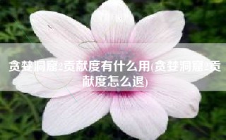 贪婪洞窟2贡献度有什么用(贪婪洞窟2贡献度怎么退)