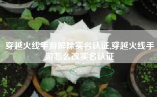 穿越火线手游解除实名认证,穿越火线手游怎么改实名认证