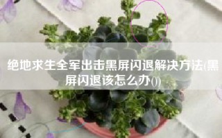 绝地求生全军出击黑屏闪退解决方法(黑屏闪退该怎么办())