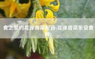 食之契约花泽香菜配音(花泽香菜东京食种)