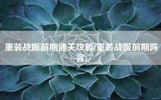 重装战姬前期通关攻略(重装战姬前期阵容)