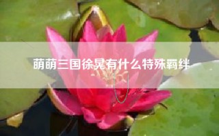 萌萌三国徐晃有什么特殊羁绊