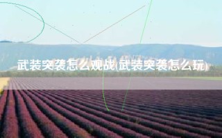 武装突袭怎么观战(武装突袭怎么玩)
